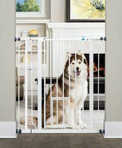 Dog-Gate-Feature