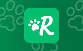 rover-logo-green-background